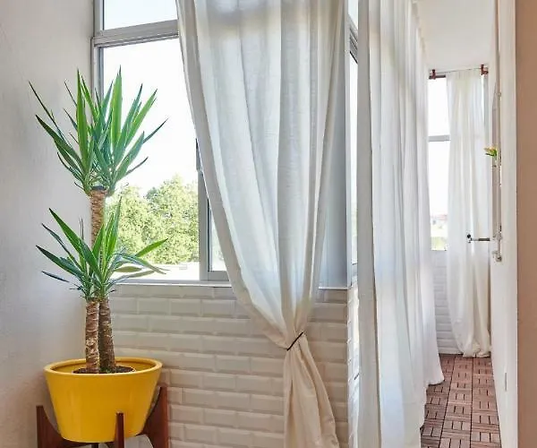 Alma Ao Sol - Sunny Appartement